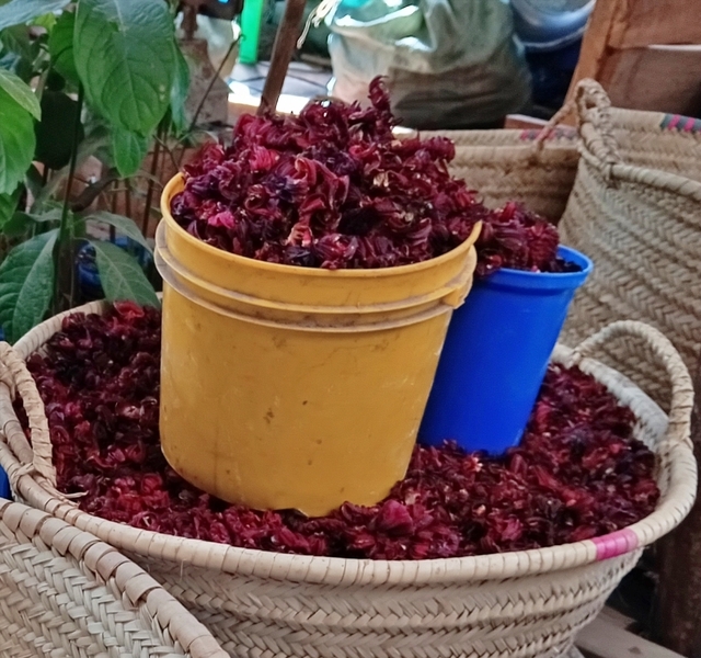 choya.jpg